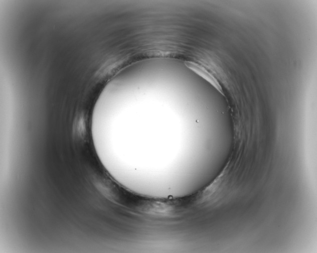 X0000086990166200704301345