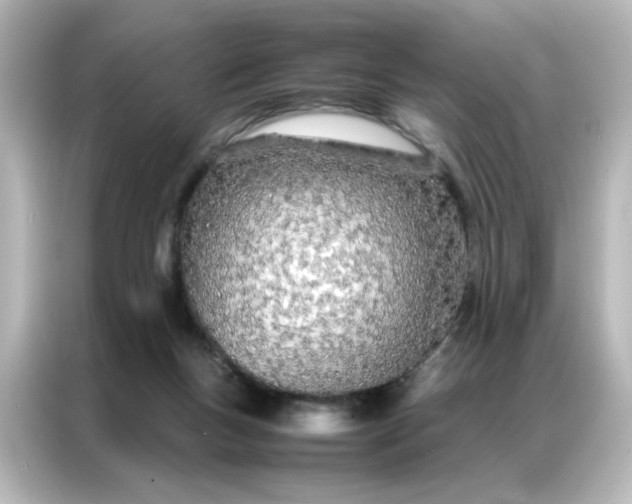 X0000086990167200704301345