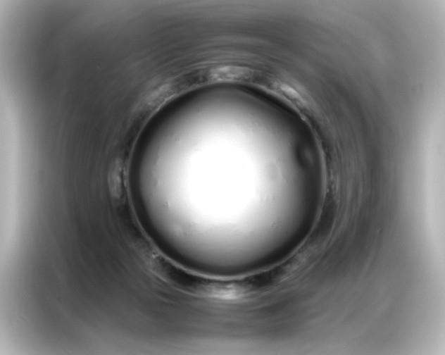 X0000086990169200704301345