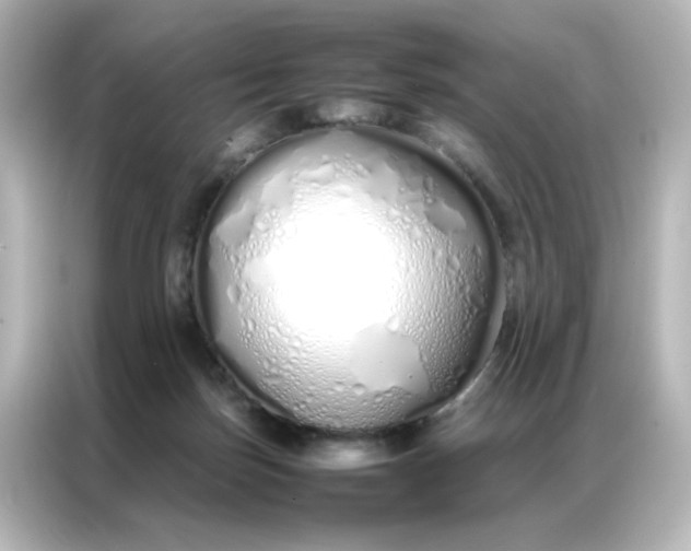 X0000086990171200704301345