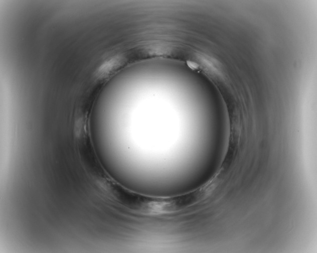 X0000086990172200704301345