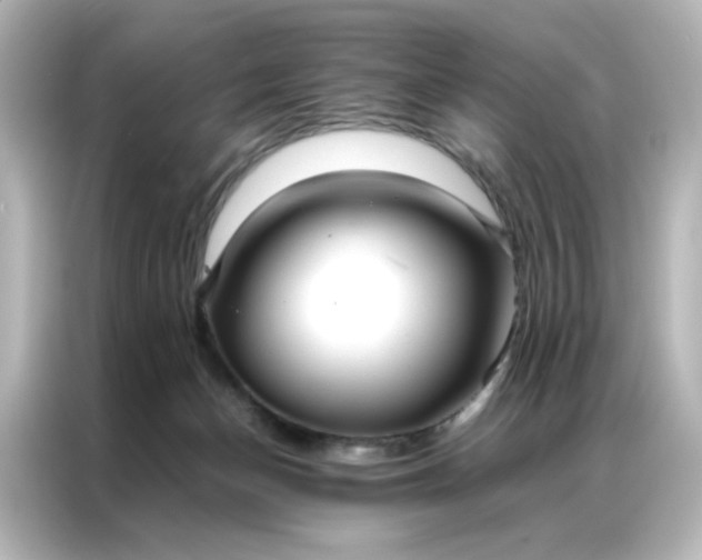 X0000086990174200704301345