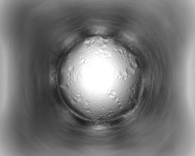 X0000086990175200704301345