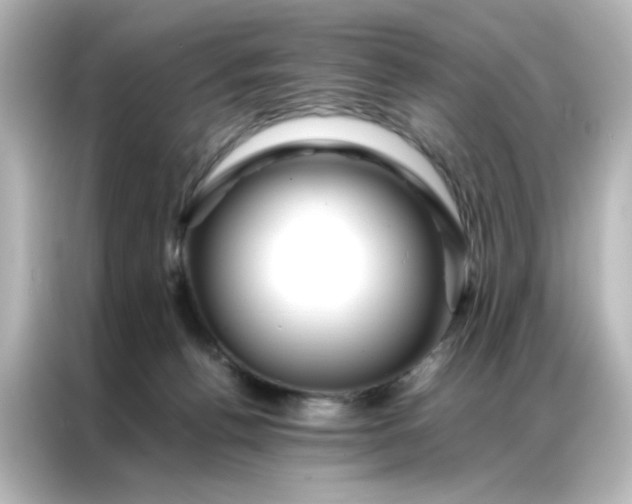 X0000086990176200704301345