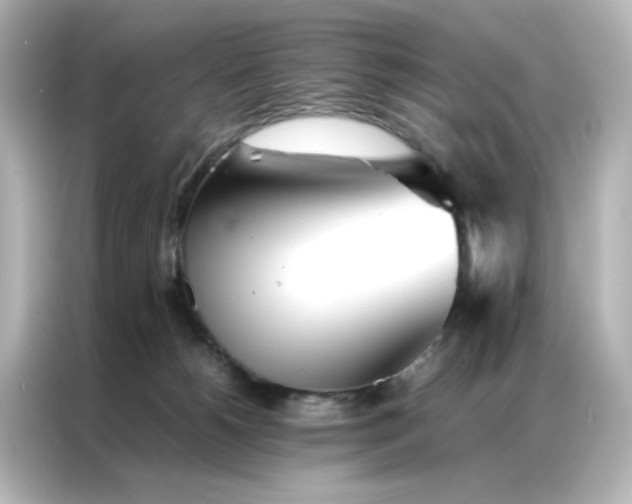 X0000086990180200704301345