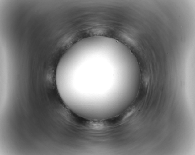 X0000086990181200704301345