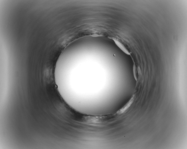 X0000086990182200704301345