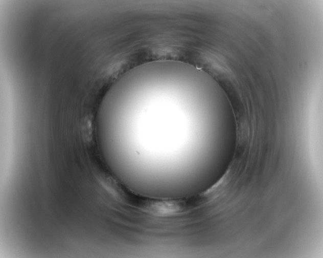 X0000086990183200704301345