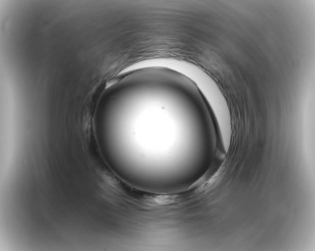 X0000086990184200704301345