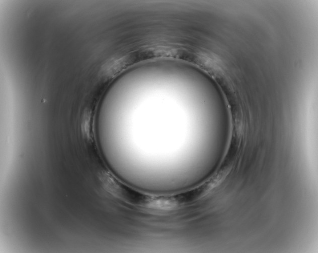 X0000086990185200704301345