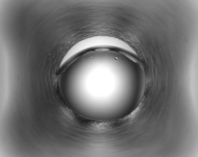 X0000086990186200704301345