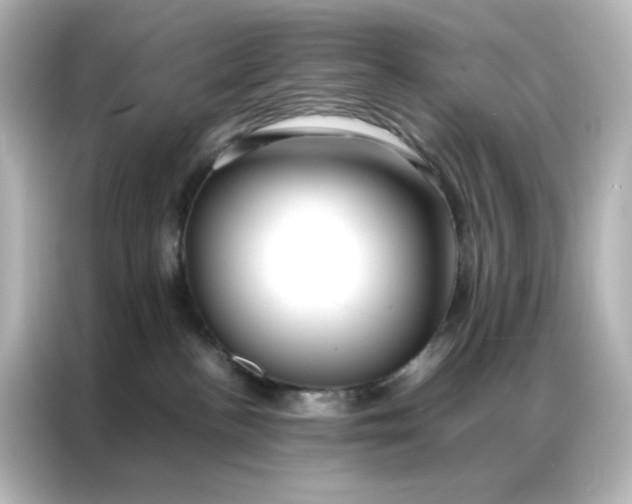 X0000086990188200704301345