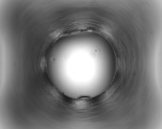 X0000086990189200704301345