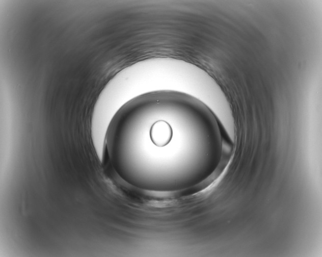 X0000086990190200704301345