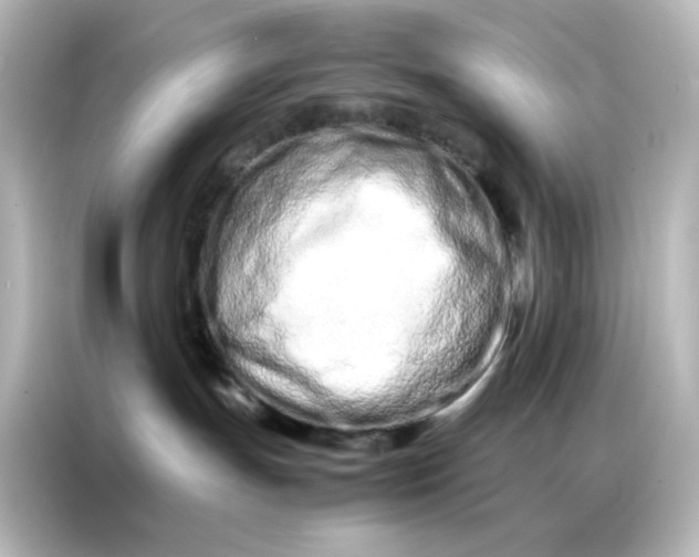 X0000086990191200704301345