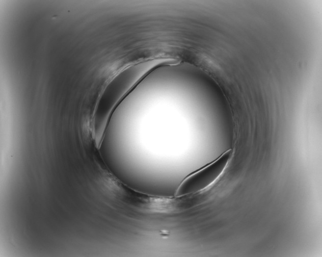 X0000086990192200704301345