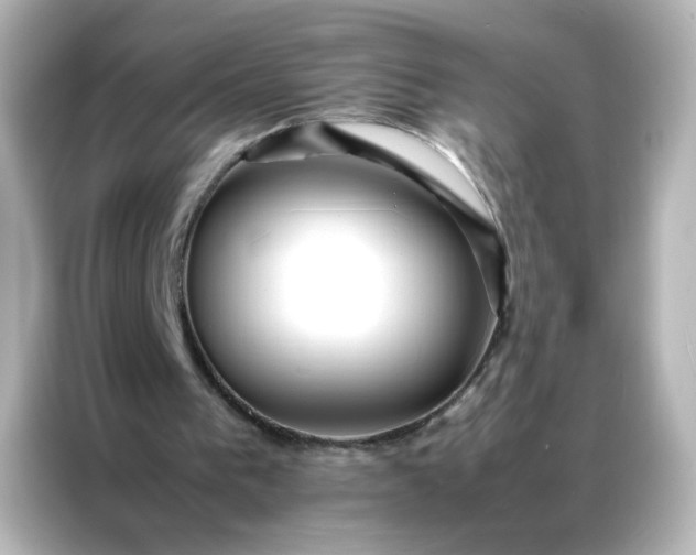 X0000086990193200704301344