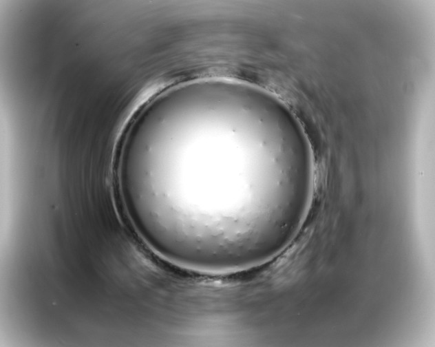 X0000086990195200704301344