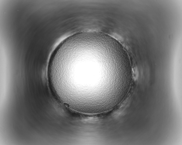 X0000086990196200704301344