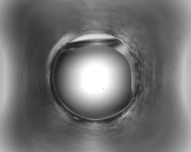 X0000086990197200704301344