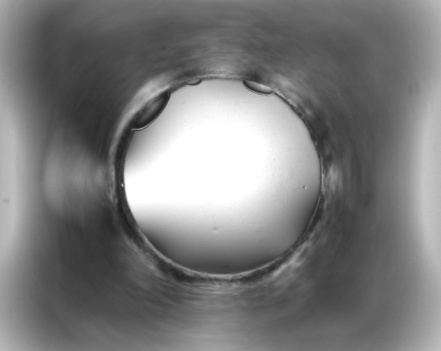 X0000086990198200704301344