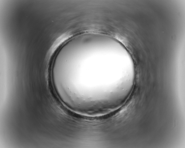 X0000086990199200704301344