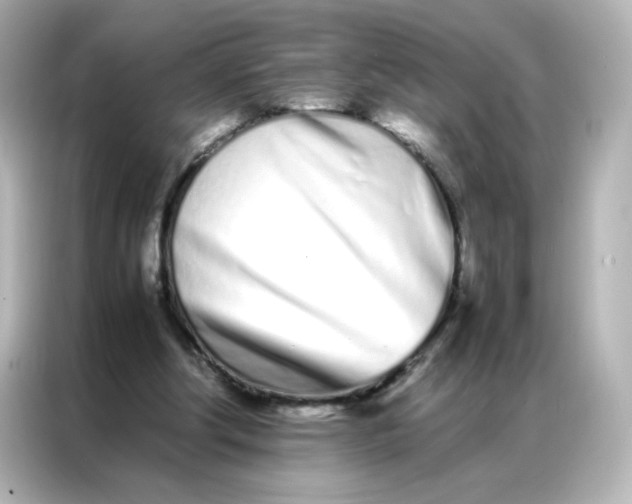 X0000086990202200704301344