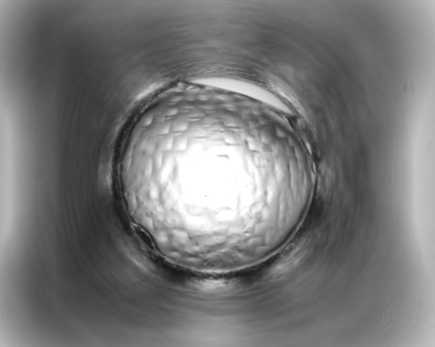 X0000086990203200704301344