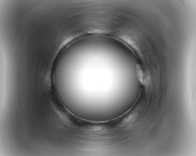 X0000086990204200704301344