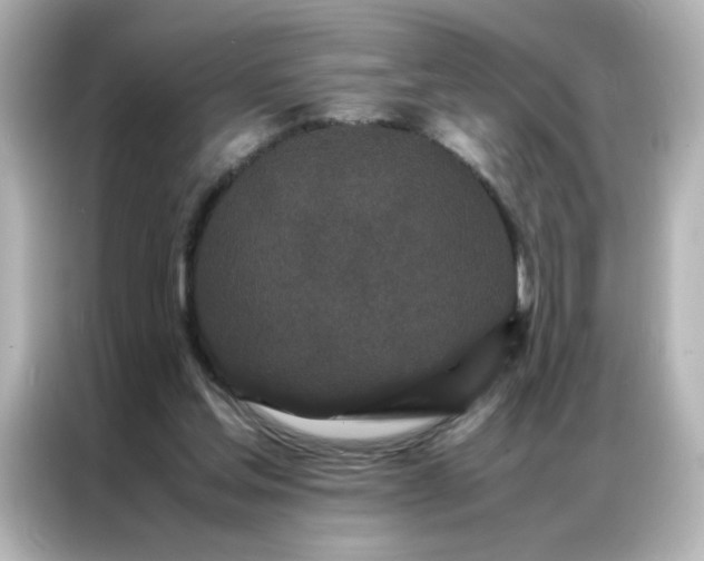 X0000086990205200704301344