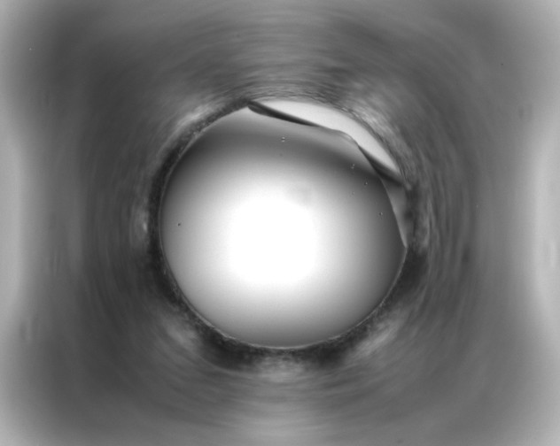 X0000086990207200704301344