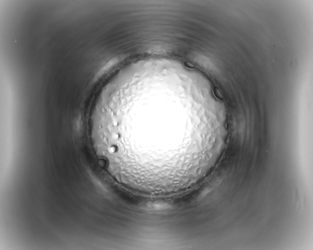 X0000086990208200704301344