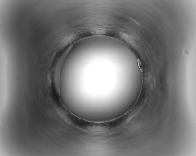 X0000086990209200704301344