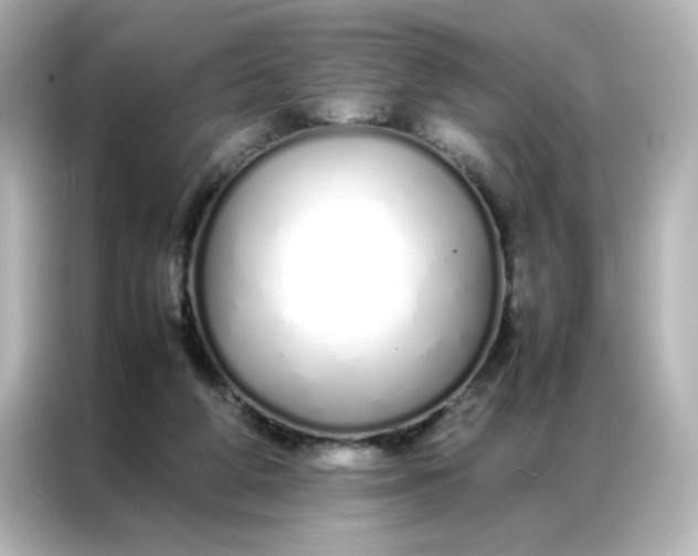 X0000086990210200704301344