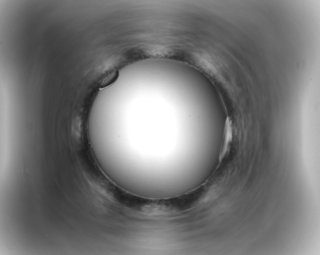 X0000086990211200704301344