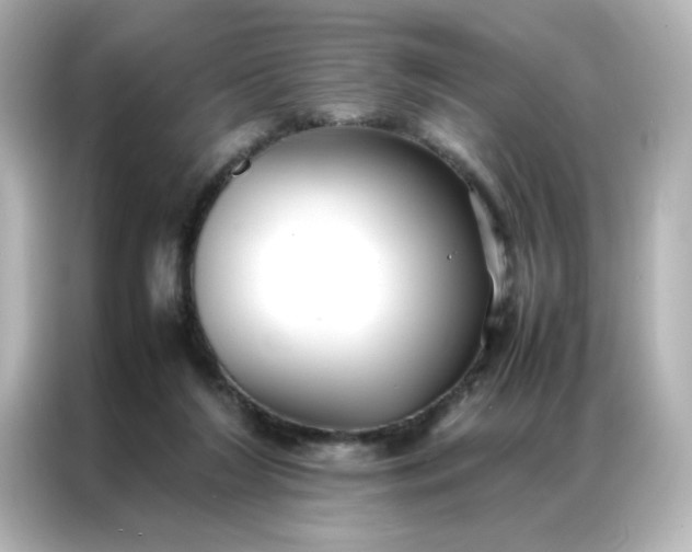 X0000086990212200704301344