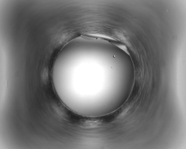 X0000086990213200704301344