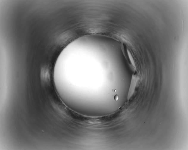 X0000086990214200704301344