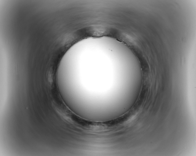 X0000086990215200704301344