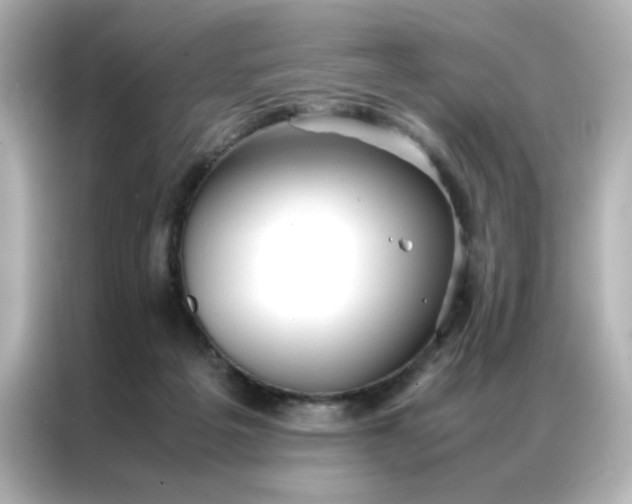 X0000086990217200704301344