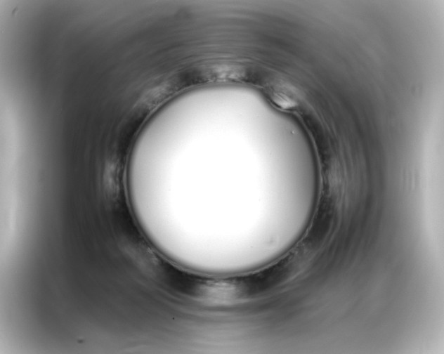 X0000086990218200704301344