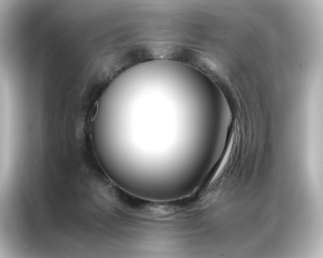 X0000086990221200704301344