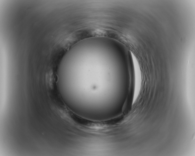 X0000086990223200704301344