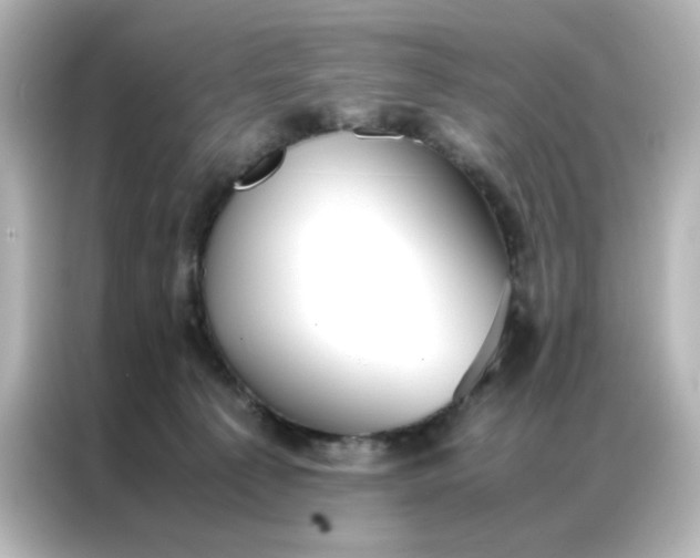 X0000086990225200704301344