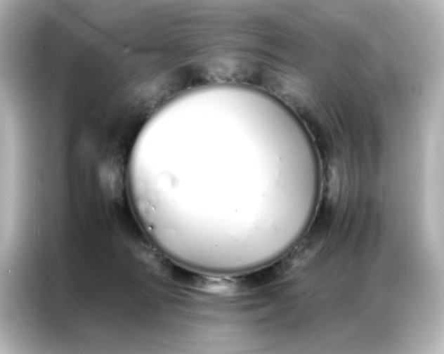 X0000086990226200704301344