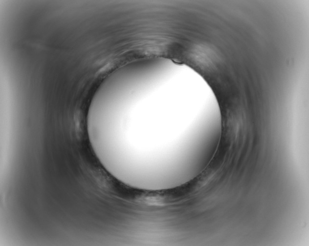 X0000086990228200704301344