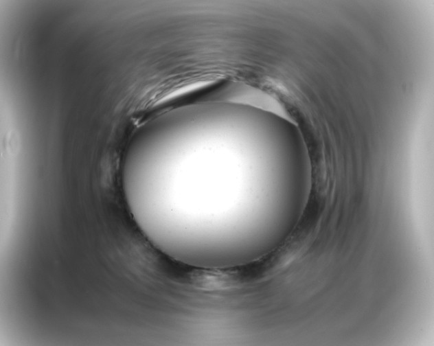 X0000086990229200704301344