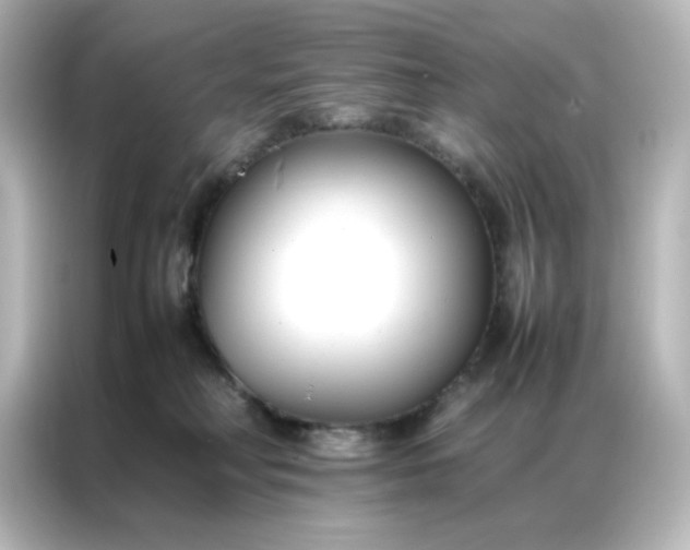 X0000086990230200704301344