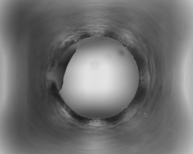 X0000086990231200704301344