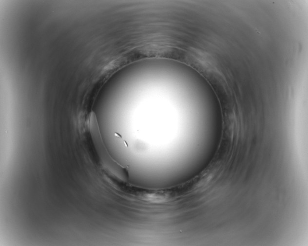 X0000086990232200704301344